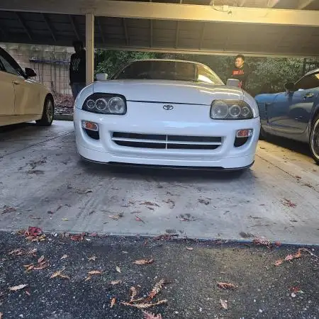 FijiS
