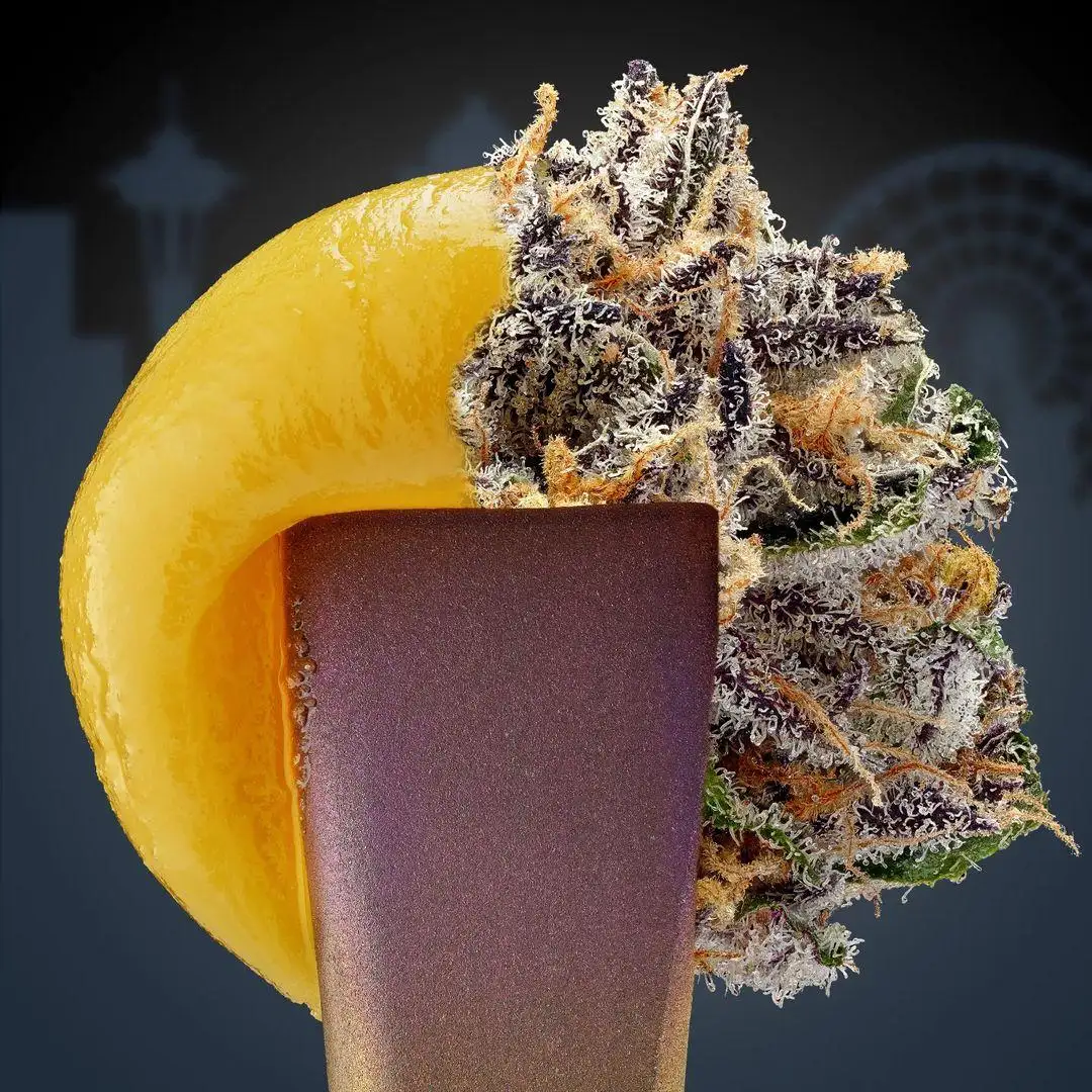 hankthestank710
