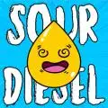 sourdieselwiesel