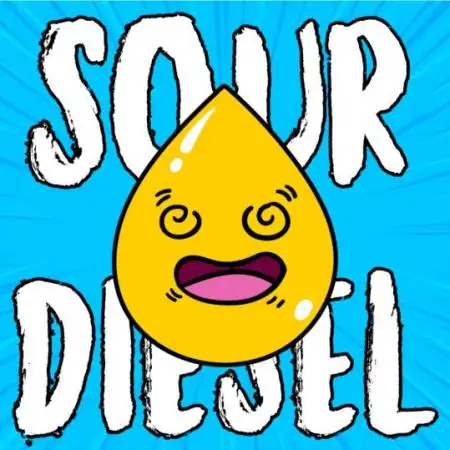 sourdieselwiesel