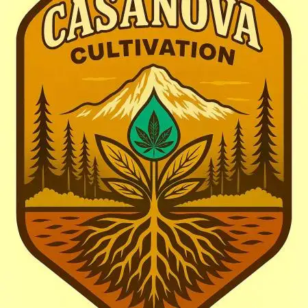 Gasanova