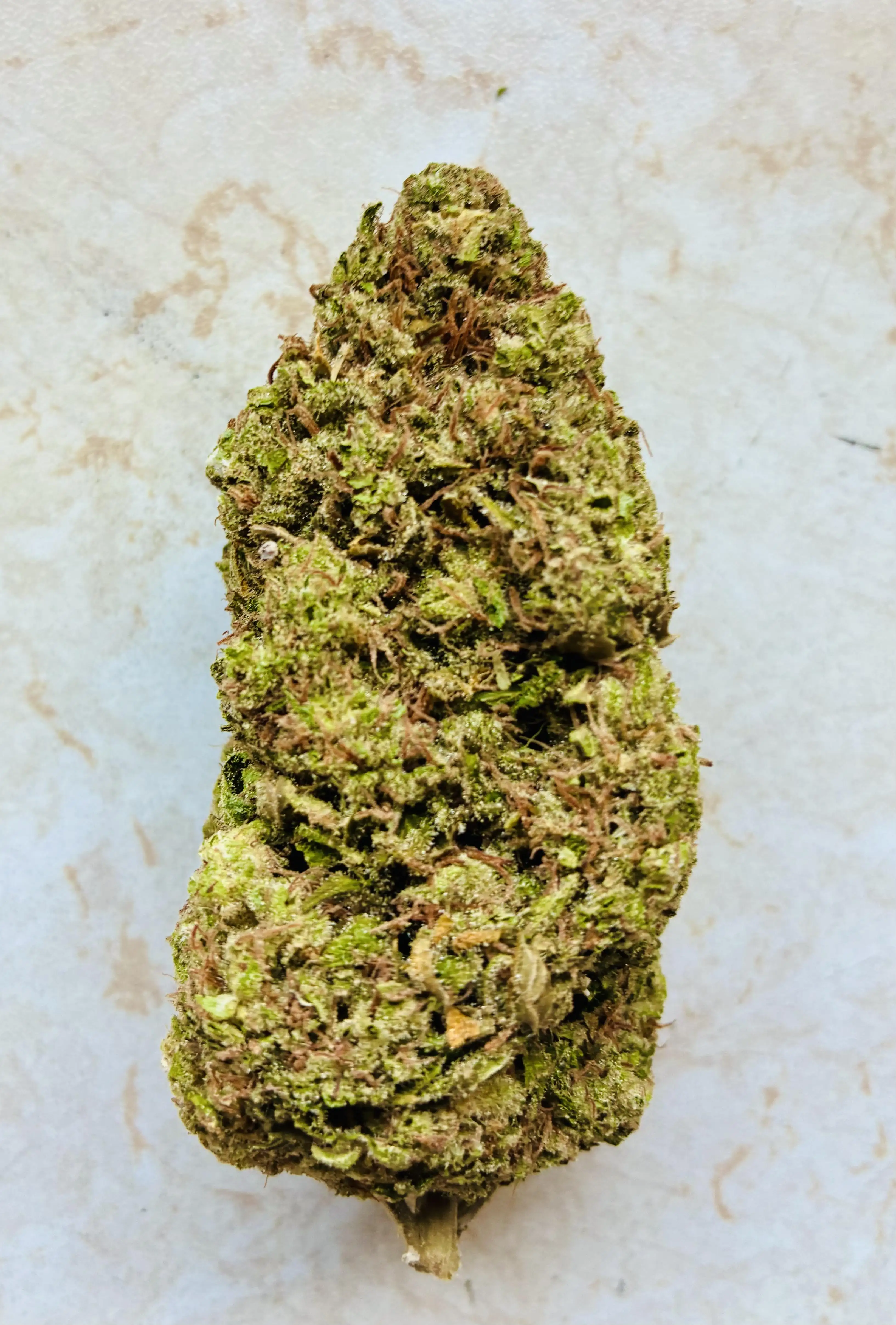 HavelGrower