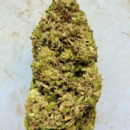 HavelGrower