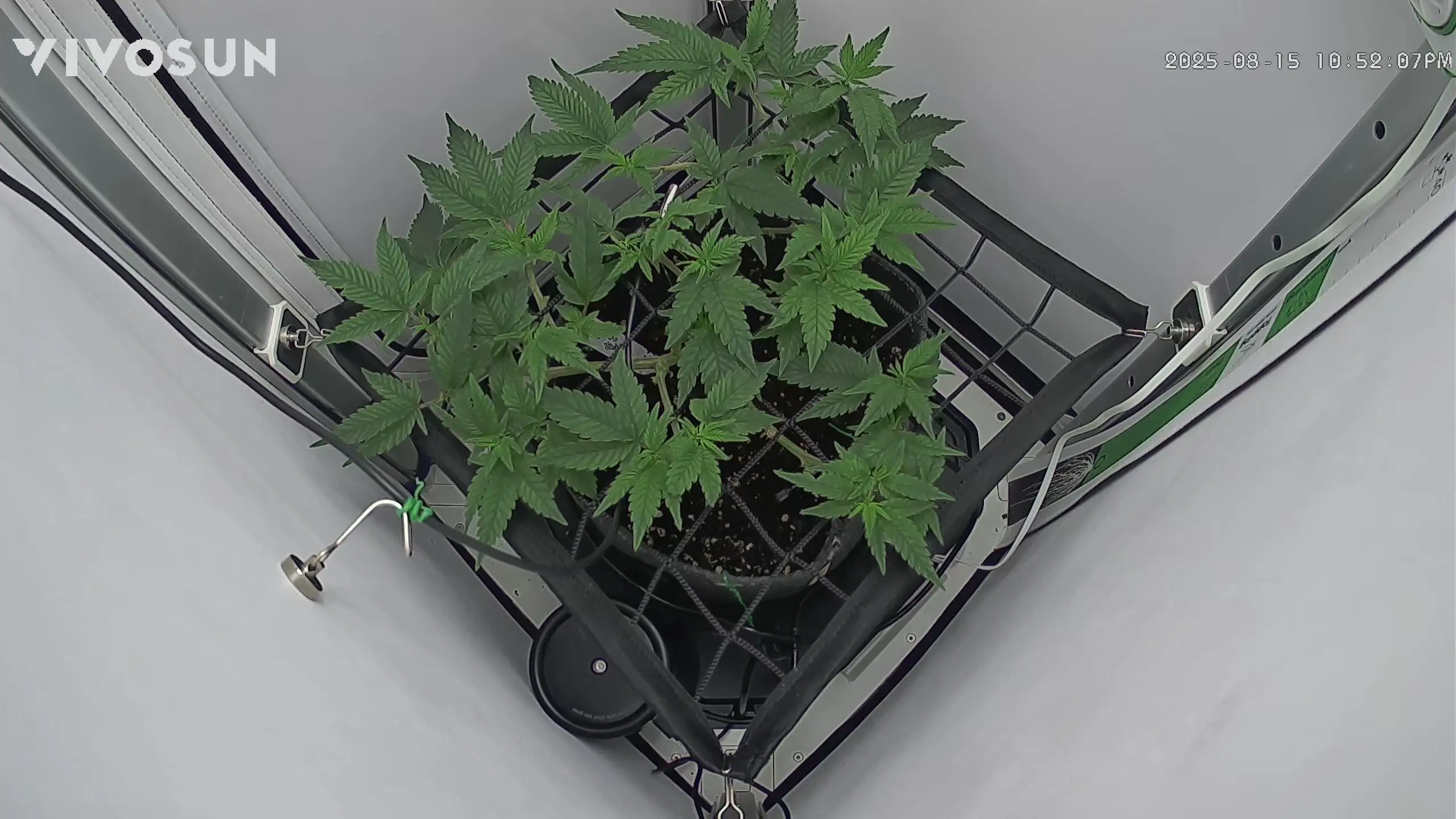 Reaper420
