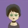 mjBudHouse
