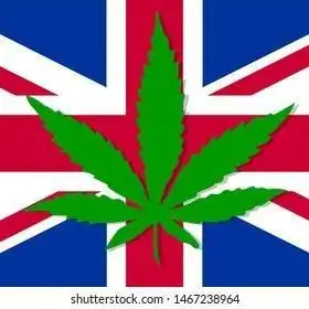 Kayjaylewis420