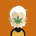 NewNicogreen_part3
