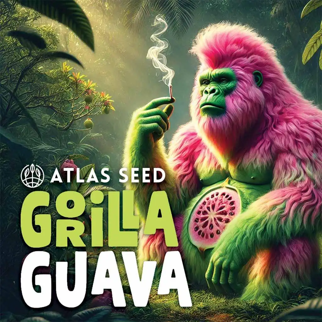 Grow4Show