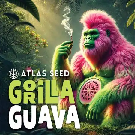 Grow4Show