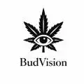BudVision