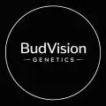 BudVision