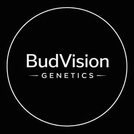 BudVision