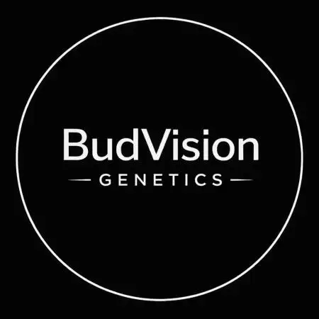 BudVision