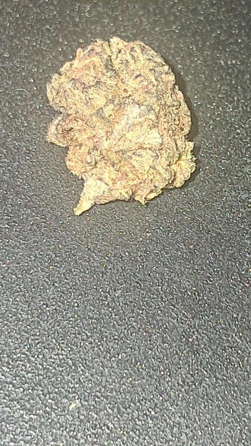 null by JollyGrower