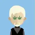 FireGreenBud