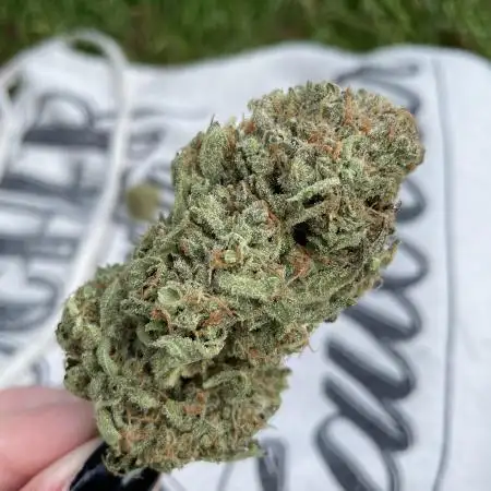 ThatsHowIGrow
