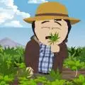 Beargrower