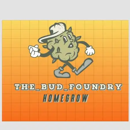 The_Bud_Foundry