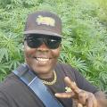 CannaBrothersPodcast