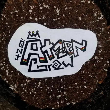 Atzengrow