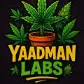 Yaadmanlabs