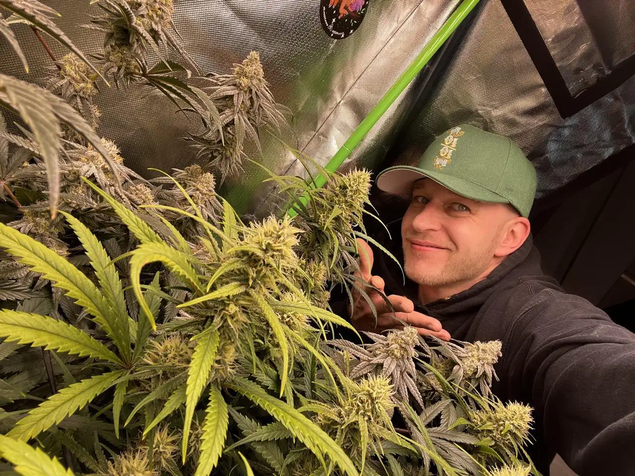 BennyBud2210