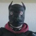 cannabidogdrone
