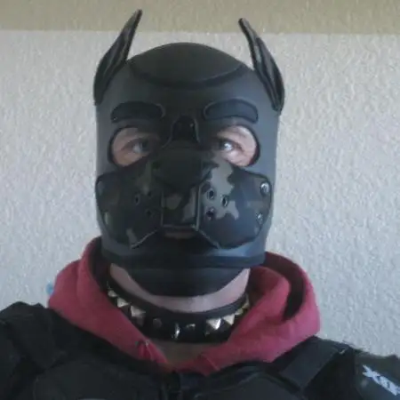 cannabidogdrone