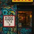 H300