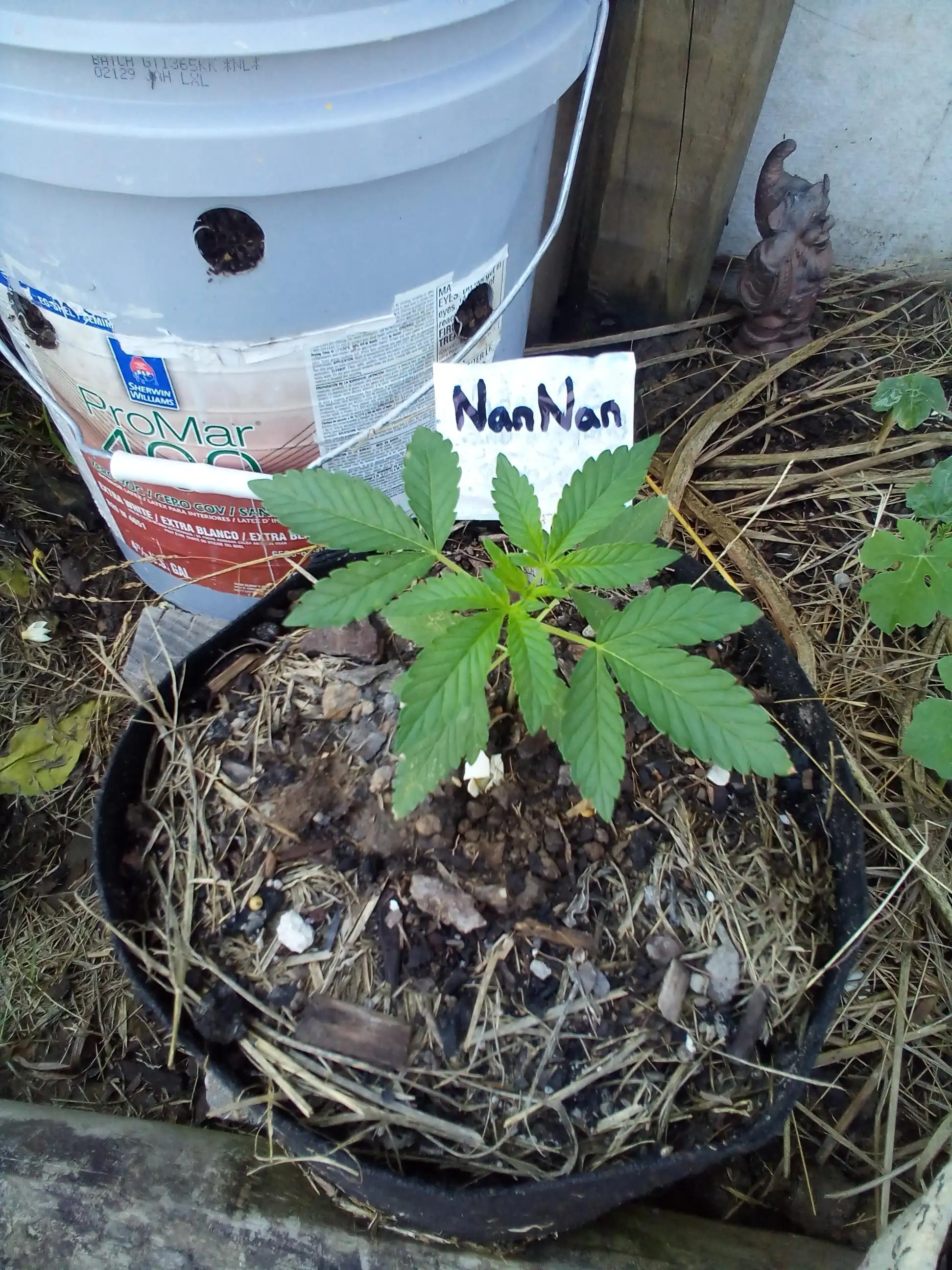 BioBayou