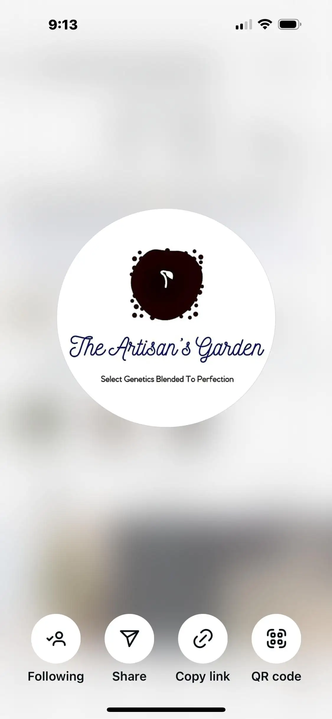 Theartisansgarden