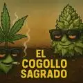 Elcogollosagrado