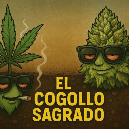 Elcogollosagrado