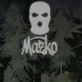 Mazko