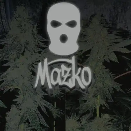 Mazko