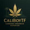CaliBoyTF