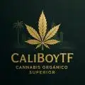 CaliBoyTF