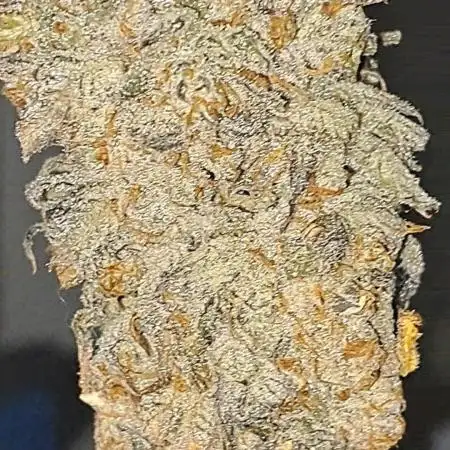 420Junglist