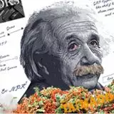 gondacannabis