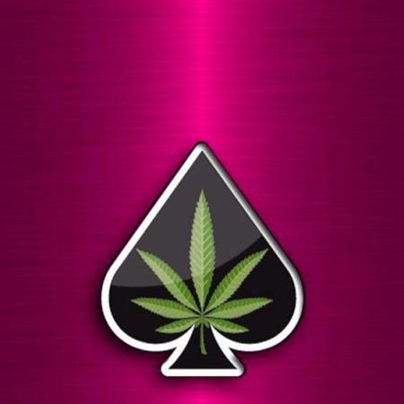 CCSAUTOGROW