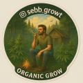 Sebb_growt