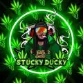 Stucky_Ducky