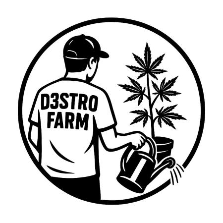destroautos