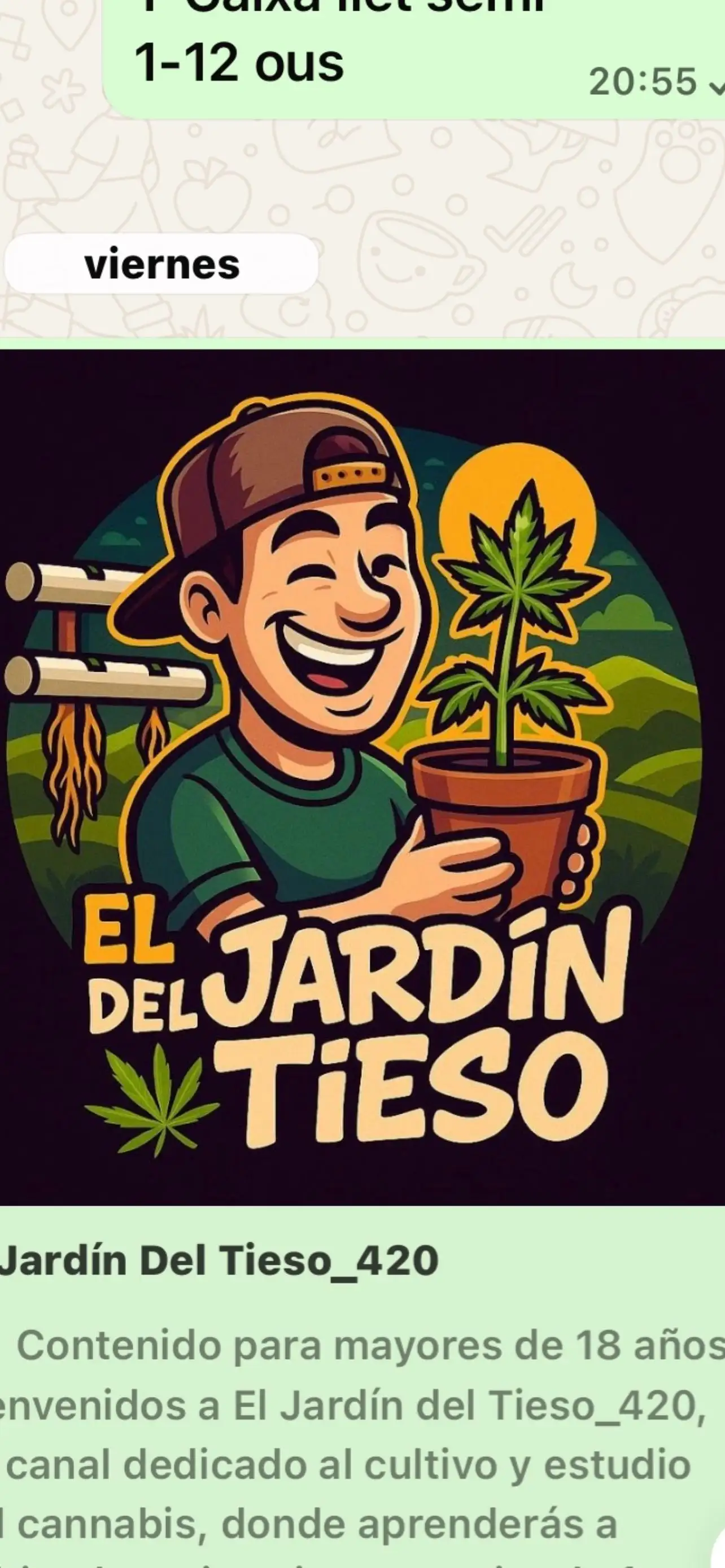 ElJardinDelTieso_420