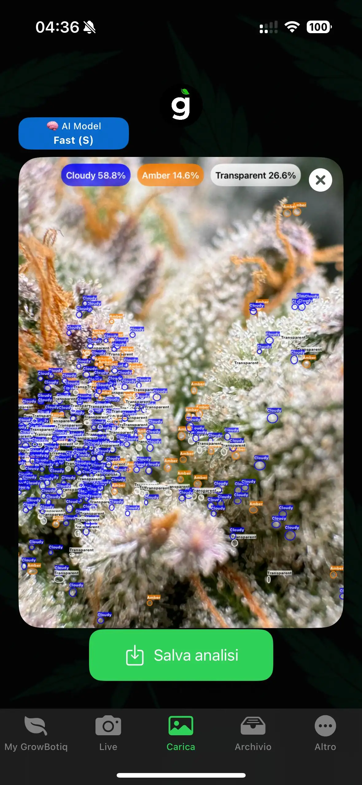 Growbotiq