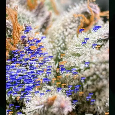 Growbotiq