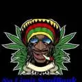 Nolimit