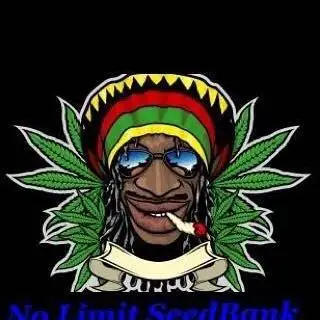 Nolimit