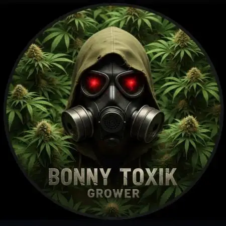 BonnyTOXIK