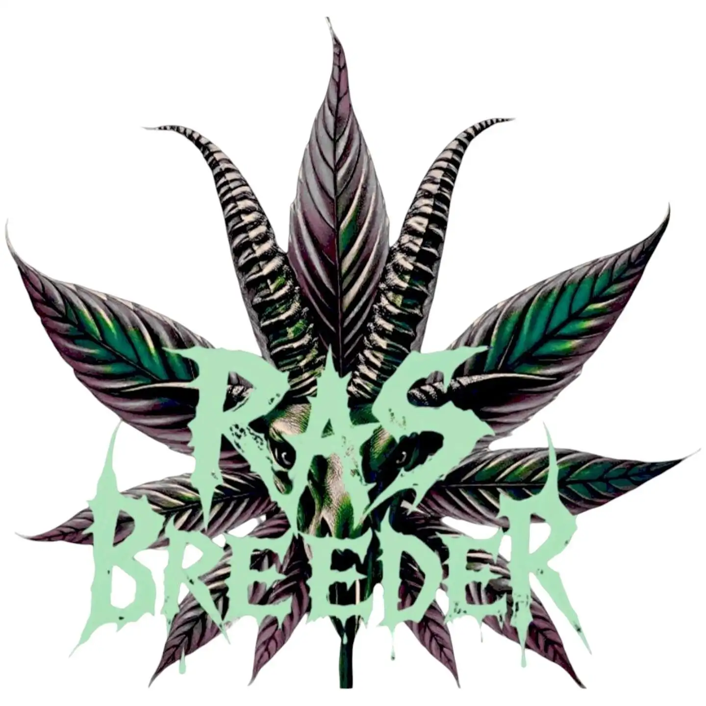 RasBreeder